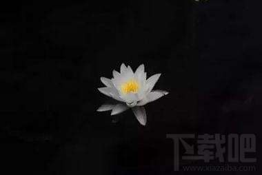 snapseed怎么修圖教程，snapseed手機(jī)版使用教程