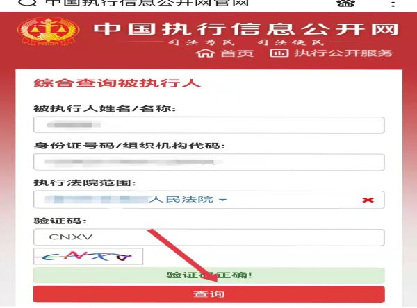 中國(guó)執(zhí)行信息網(wǎng)怎么查