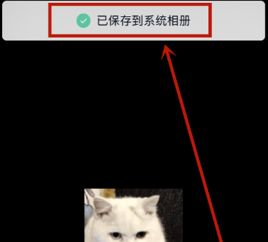 動感相冊怎么保存到手機(jī)相冊里面